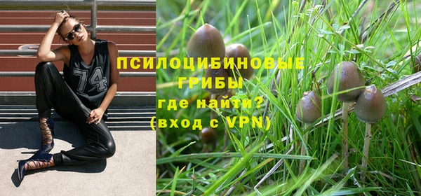 индика Всеволожск