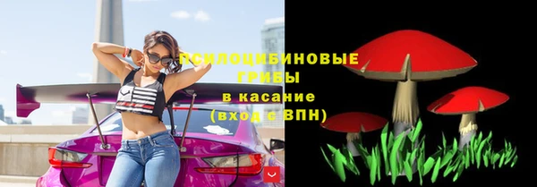 марки lsd Пересвет