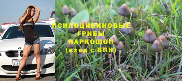 марки lsd Пересвет