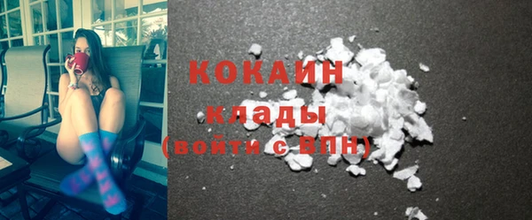 гашик Янаул