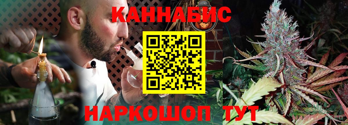 Каннабис индика Калининград